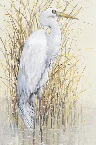 Beachy Living Room: Wading I by Tim O'Toole