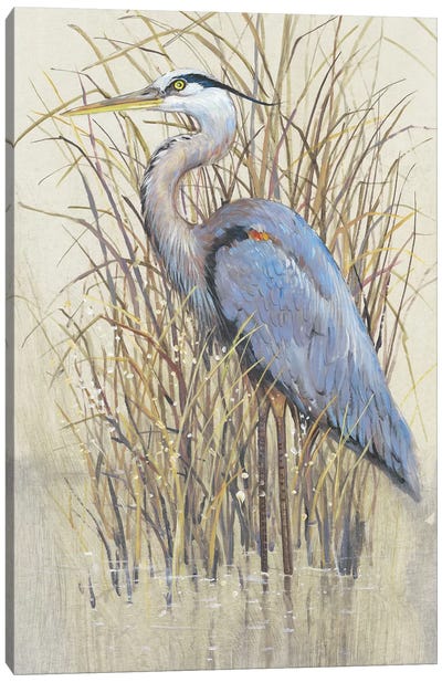 Wading II Canvas Art Print - Heron Art