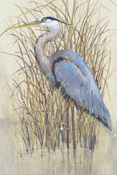 Beachy Living Room: Wading II by Tim O'Toole