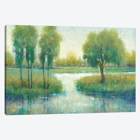 Winding River I Canvas Print #TOT444} by Tim OToole Canvas Artwork