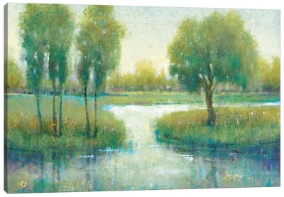 Winding River I Canvas Art Print - Tim O'Toole