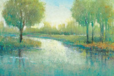 Winding River II by Tim O'Toole framed canvas print