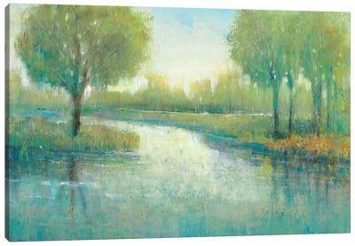 Winding River II Canvas Art Print - Tim O'Toole