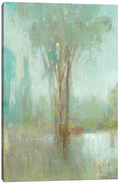 Mist in the Glen I Canvas Art Print - Tim O'Toole