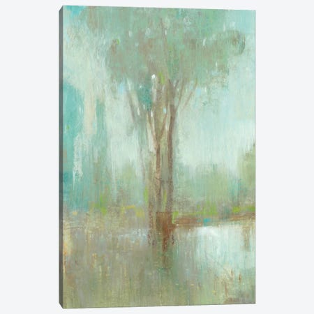 Mist in the Glen I Canvas Print #TOT448} by Tim OToole Art Print