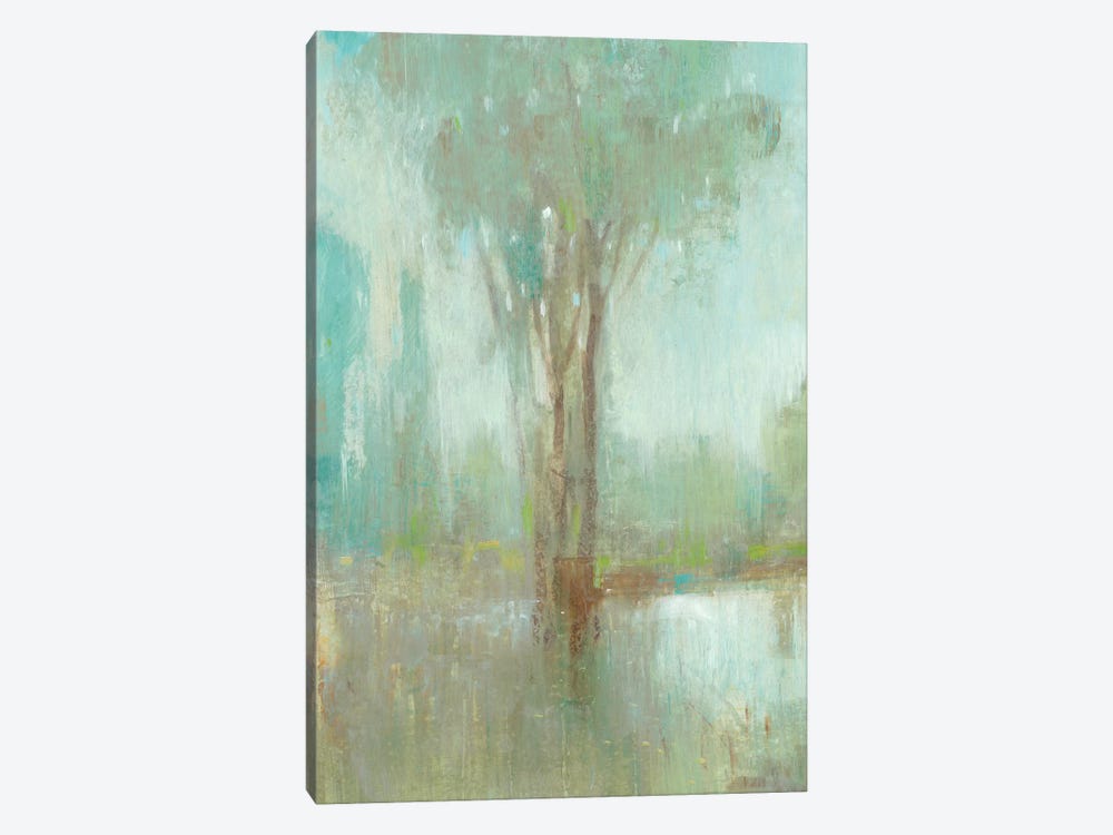 Mist in the Glen I by Tim OToole 1-piece Canvas Art