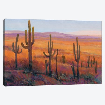 Desert Light I Canvas Print #TOT458} by Tim OToole Canvas Artwork