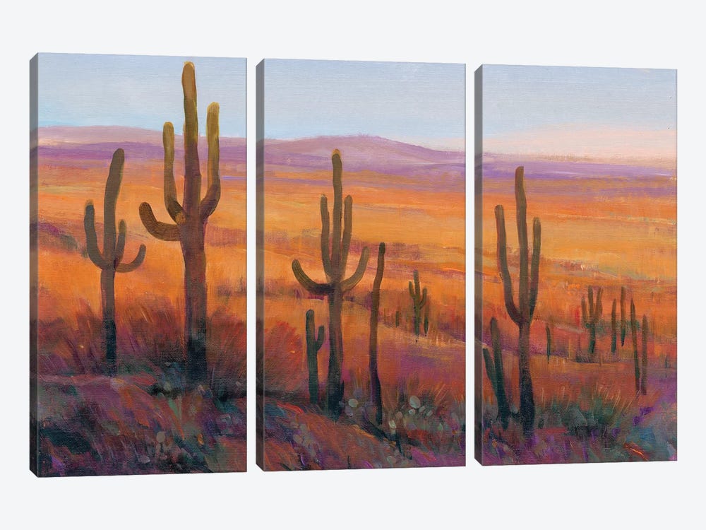 Desert Light I by Tim OToole 3-piece Art Print
