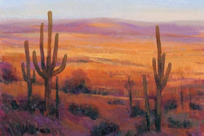 Desert Light II Canvas Art by Tim OToole | iCanvas