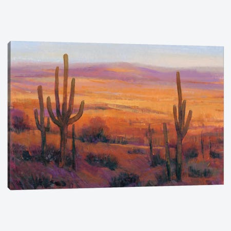 Desert Light II Canvas Print #TOT459} by Tim OToole Canvas Art