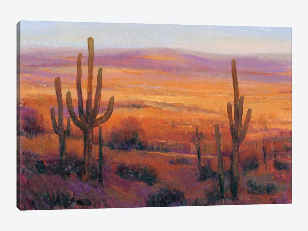 Desert Light II by Tim OToole 1-piece Canvas Art