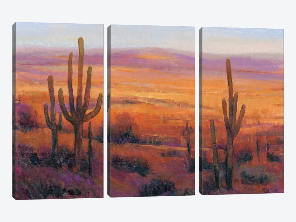 Desert Light II by Tim OToole 3-piece Canvas Art