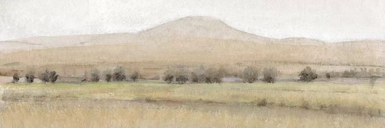 Dry Heat I by Tim O'Toole wall art
