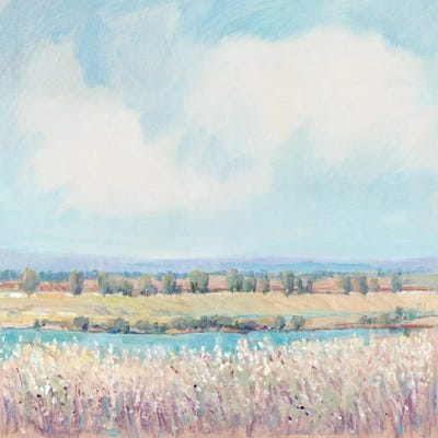 Flowing Creek II by Tim O'Toole canvas print