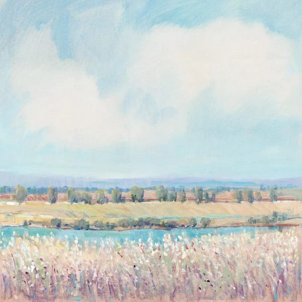 Beyond The Pale: Flowing Creek II by Tim O'Toole