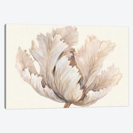 Monochromatic Tulip I Canvas Print #TOT468} by Tim OToole Canvas Print