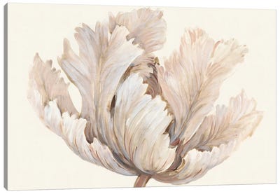 Monochromatic Tulip I Canvas Art Print