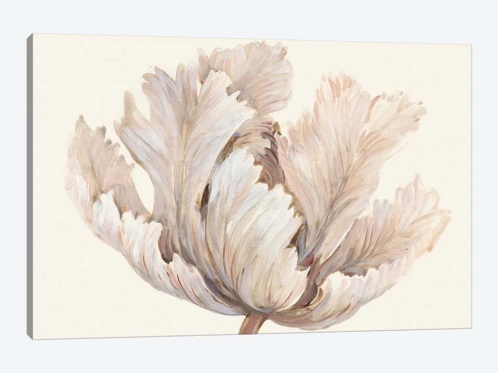 Monochromatic Tulip I by Tim OToole 1-piece Canvas Art