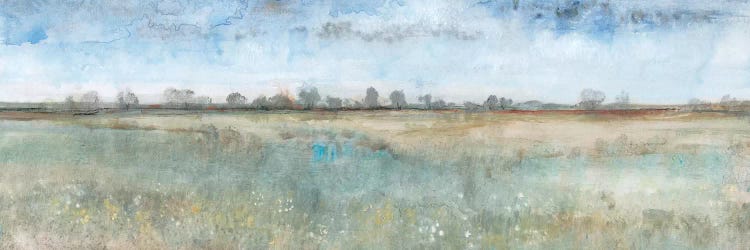 Open Field I by Tim O'Toole wall art