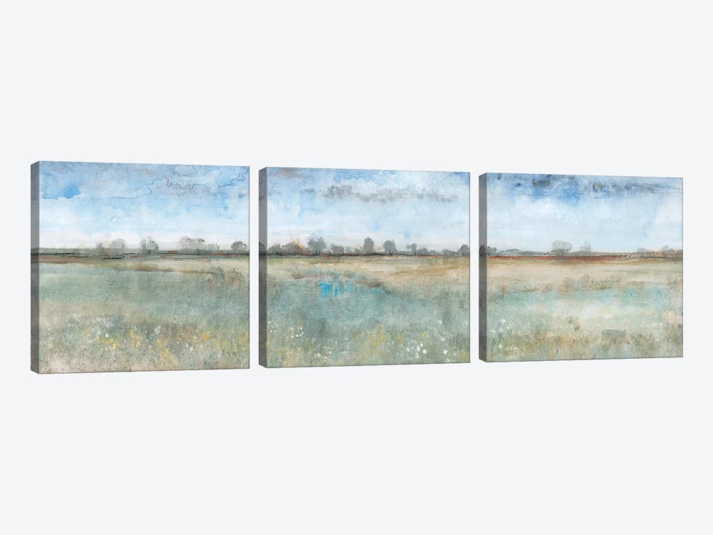 Open Field I by Tim OToole 3-piece Canvas Print