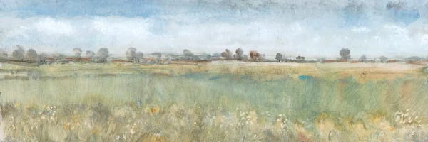 Fields, Grasslands & Meadows: Open Field II by Tim O'Toole