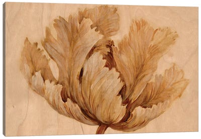 Sepia Tulip on Birch I Canvas Art Print - Tulip Art