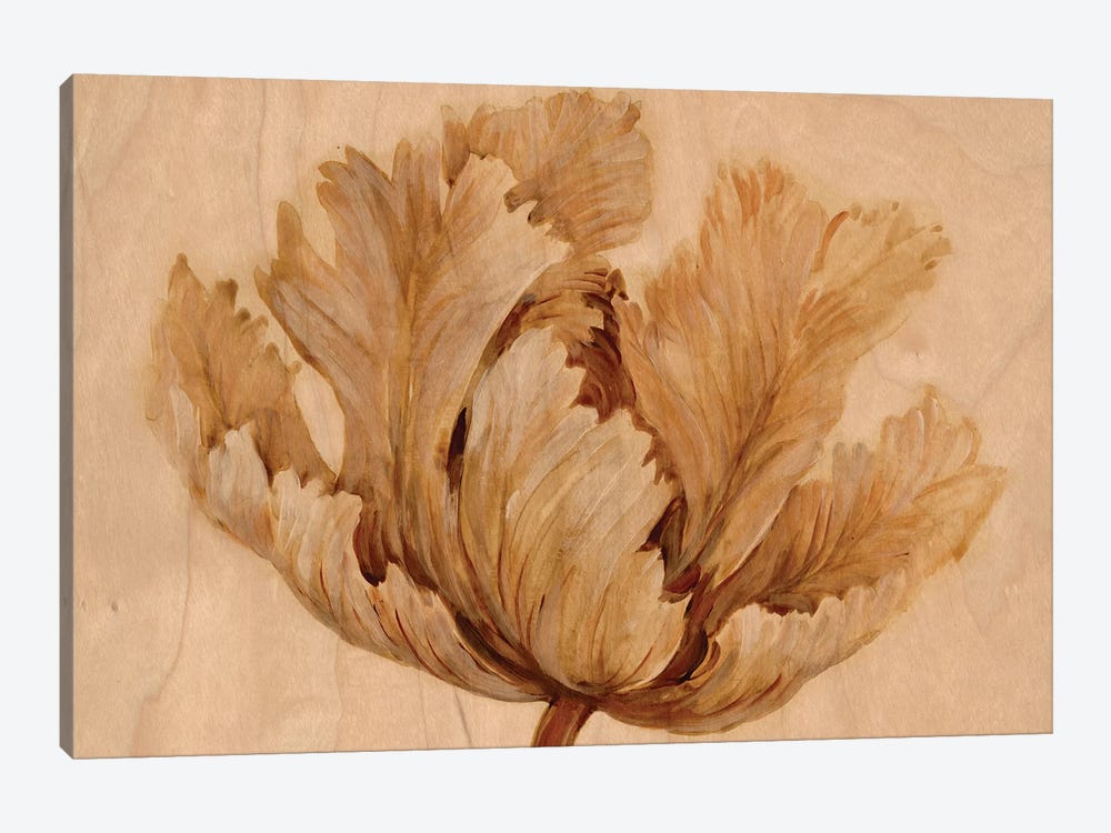 Sepia Tulip on Birch I by Tim OToole 1-piece Art Print