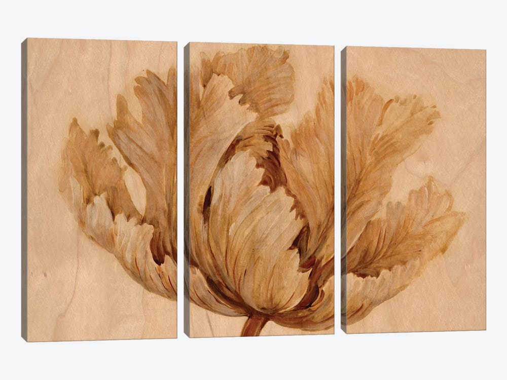 Sepia Tulip on Birch I by Tim OToole 3-piece Art Print