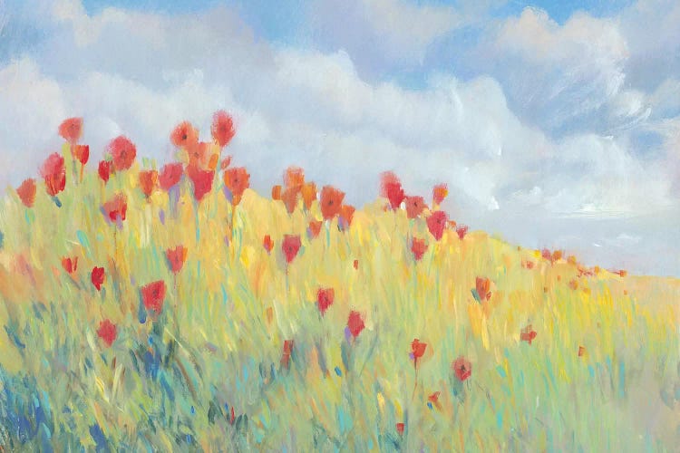 Summer Breeze Meadow I by Tim OToole wall art