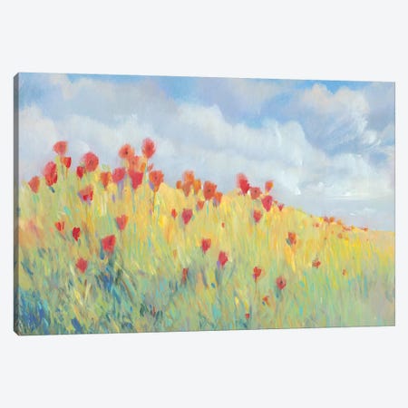 Summer Breeze Meadow I Canvas Print #TOT474} by Tim OToole Art Print