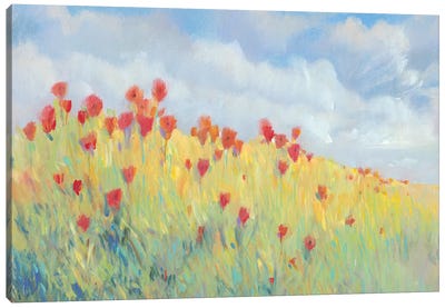 Summer Breeze Meadow I Canvas Art Print - Tim O'Toole