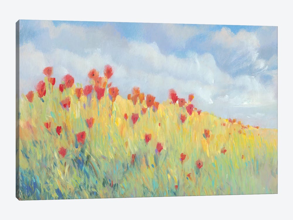 Summer Breeze Meadow I by Tim OToole 1-piece Canvas Art Print
