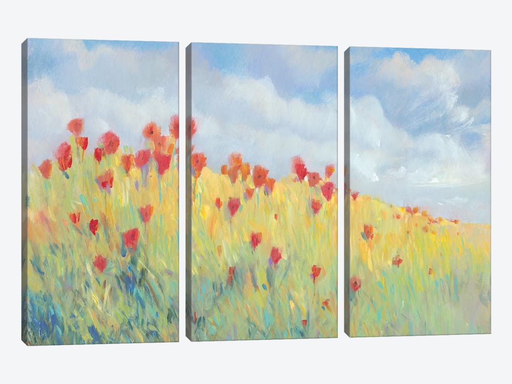 Summer Breeze Meadow I by Tim OToole 3-piece Art Print