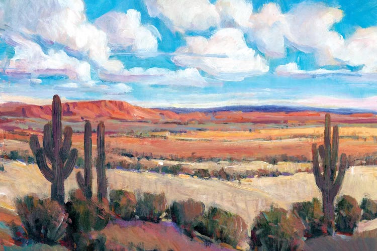 Desert Heat I by Tim OToole wall art