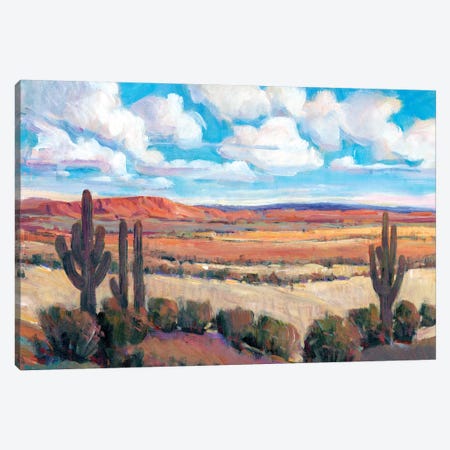 Desert Heat I Canvas Print #TOT482} by Tim OToole Canvas Art Print