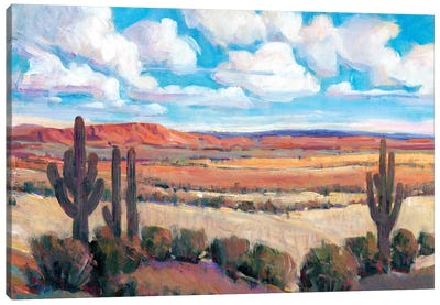 Desert Heat I Canvas Art Print - Cactus Art