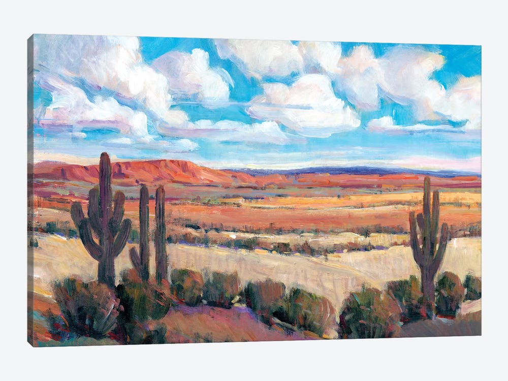 Desert Heat I by Tim OToole 1-piece Canvas Wall Art