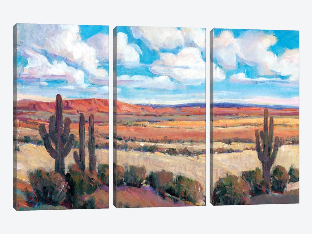 Desert Heat I by Tim OToole 3-piece Canvas Wall Art