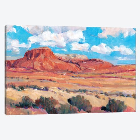Desert Heat II Canvas Print #TOT483} by Tim OToole Canvas Print