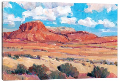 Desert Heat II Canvas Art Print - Desert Art