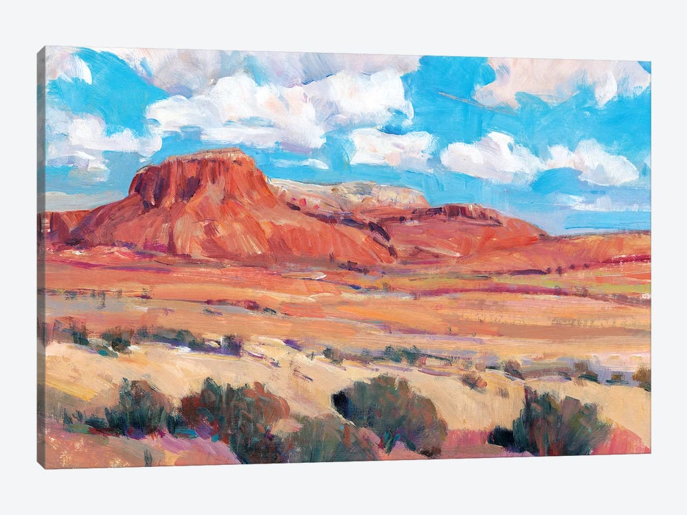 Desert Heat II by Tim OToole 1-piece Canvas Art Print