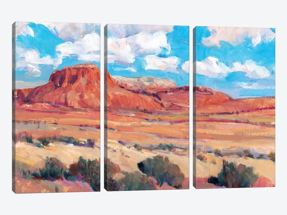 Desert Heat II by Tim OToole 3-piece Canvas Art Print