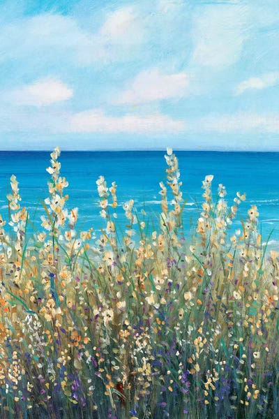 Flowers at the Coast I by Tim O'Toole canvas print