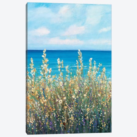 Flowers at the Coast I Canvas Print #TOT484} by Tim OToole Canvas Art