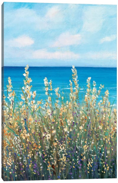 Flowers at the Coast I Canvas Art Print - Tim O'Toole