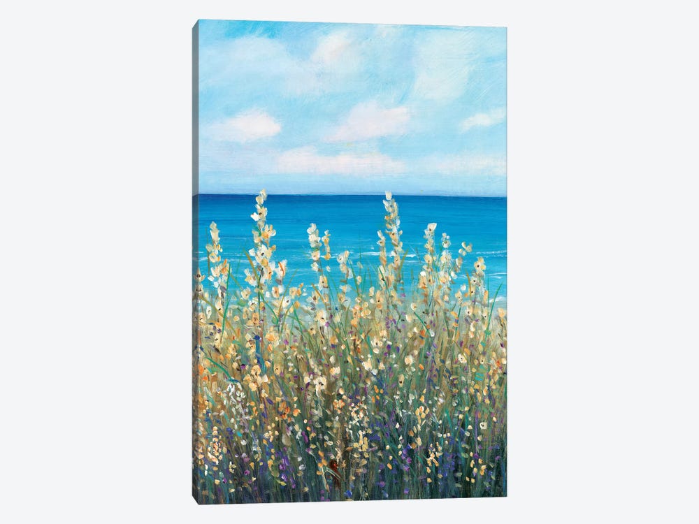 Flowers at the Coast I by Tim OToole 1-piece Canvas Artwork