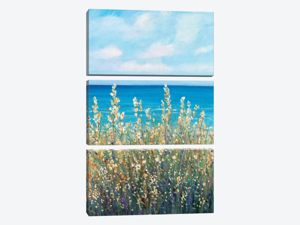 Flowers at the Coast I by Tim OToole 3-piece Canvas Art