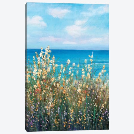 Flowers at the Coast II Canvas Print #TOT485} by Tim OToole Canvas Artwork