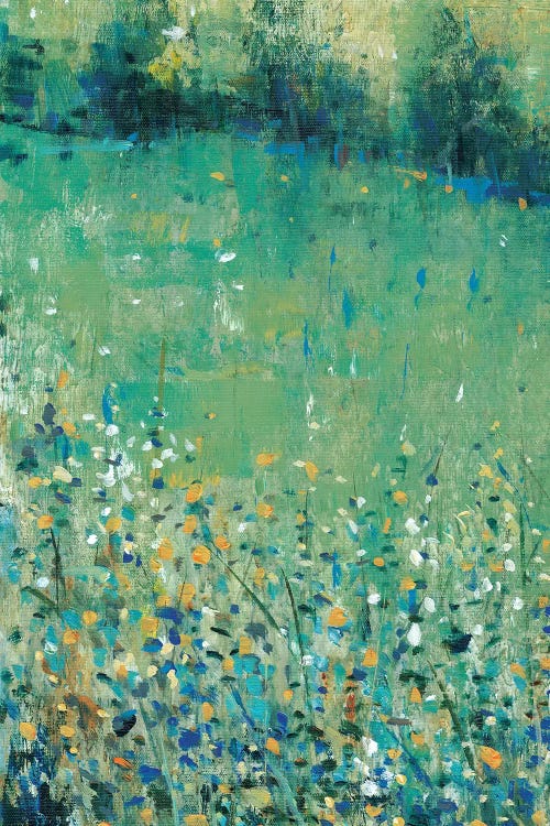Lush Meadow I by Tim OToole wall art