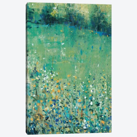 Lush Meadow I Canvas Print #TOT494} by Tim OToole Canvas Art Print